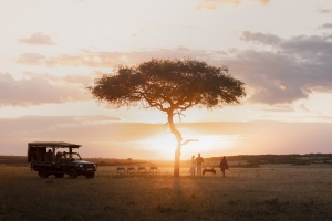 Africa Wildlife Safaris - sundowner