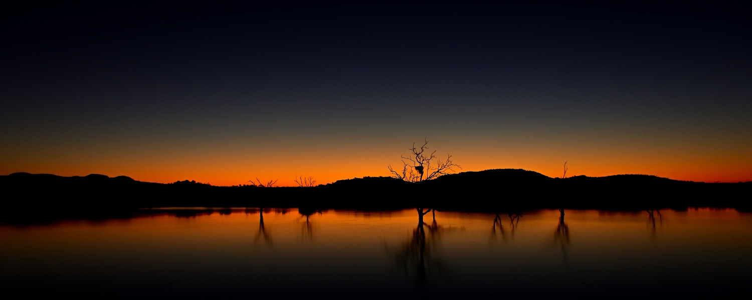 referenties Africa Wildlife Safaris