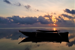 Zanzibar: zon, zee en zaligheid