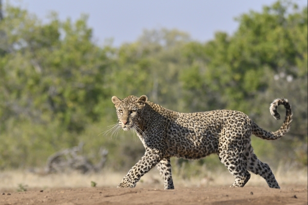 Fotogalerij Botswana
