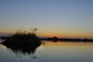Afrika safari Botswana - Zonsondergang in de Okavango Delta