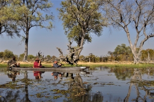 Afrika safari Botswana - Mokoro tocht in de Okavango Delta