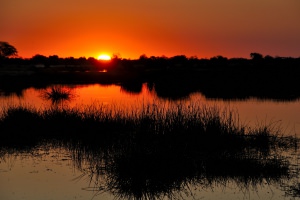 okavango delta zonsondergang