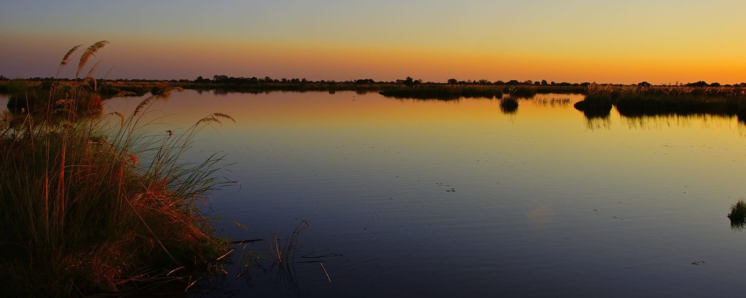 Okavango Delta ondergaande zon