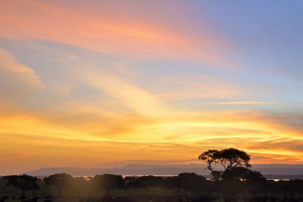 Oeganda - Groepsreis Vier parken safari