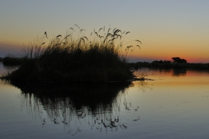 Zonsondergang Okavango Delta