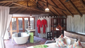 luxe lodge om te overnachten in Zuid-Afrika - Madikwe