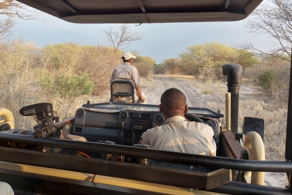 Ontdek de beste safari van Afrika
